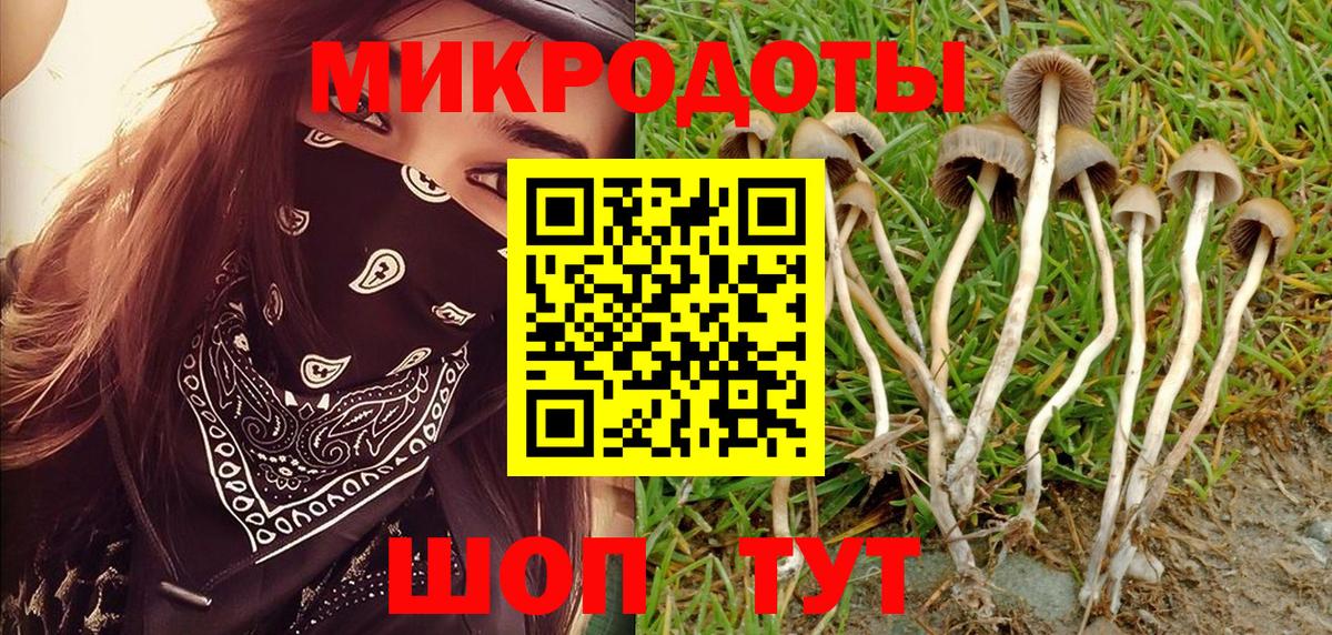Ликино-Дулёво  Псилоцибиновые грибы прущие грибы  цена   Вход с VPN 